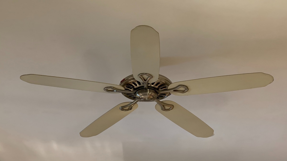 How To Clean Ceiling Fans In India Shelly Lighting